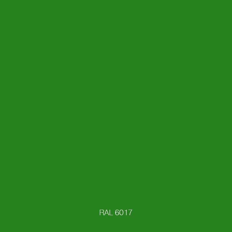 RAL 6017